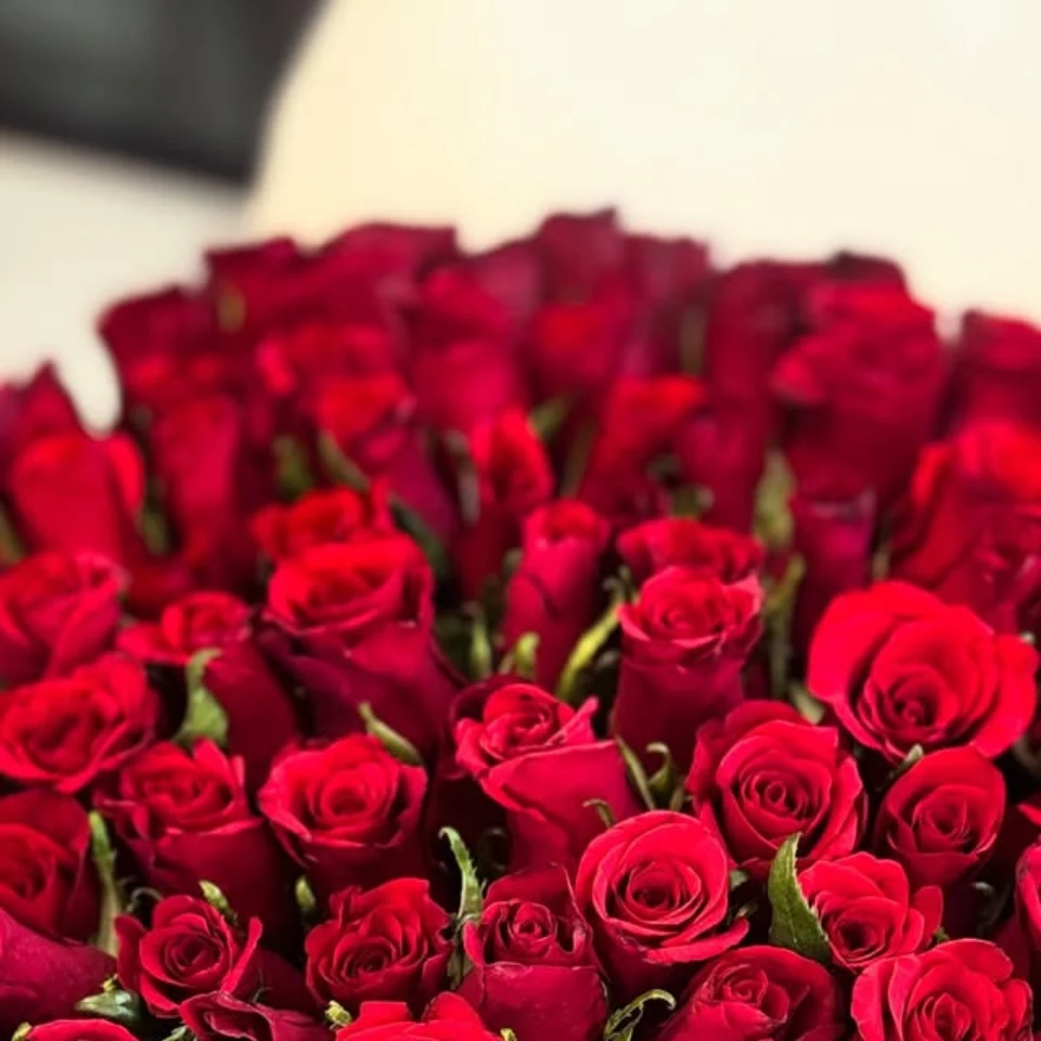 The Royal Red